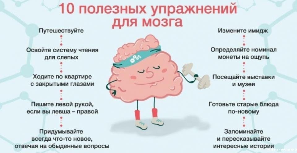 Интересные факты о мозге