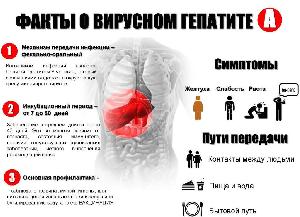 С 24 по 30 июля 2023 года в России проводится Неделя профилактики заболеваний печени в честь Всемирного дня борьбы с гепатитом 28 июля