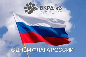 Поздравляем с Днём государственного флага России! Поздравляем с Днём государственного флага России!