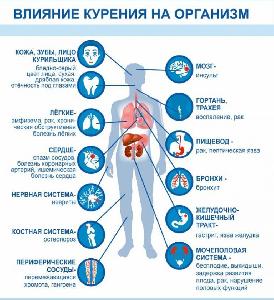 Неделя сохранения здоровья легких (в честь Всемирного дня по борьбе с астмой 03 мая) с 01 по 07 мая 2023 года