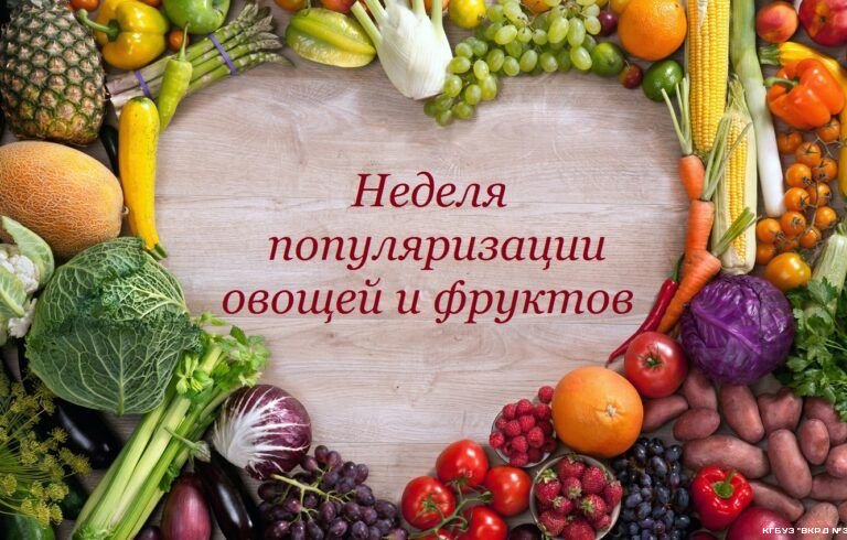 Овощи и фрукты занимают достаточно важное место в рационе, они являются ценным источником витаминов, углеводов, органических кислот и минеральных веществ