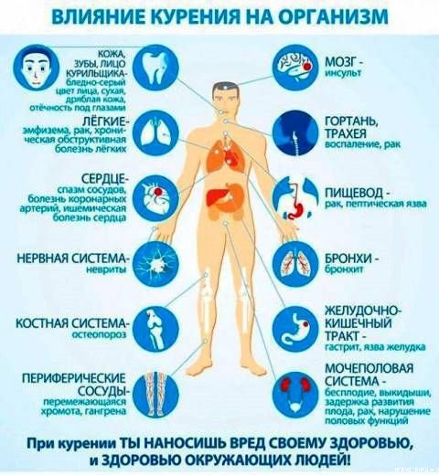 С 4 по 10 декабря 2023 года в России в рамках Нацпроекта "Здравоохранение" проводится неделя профилактики потребления никотинсодержащей продукции